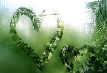 爱游戏-勒沃库森横扫日本，苏亚雷斯扛起全队