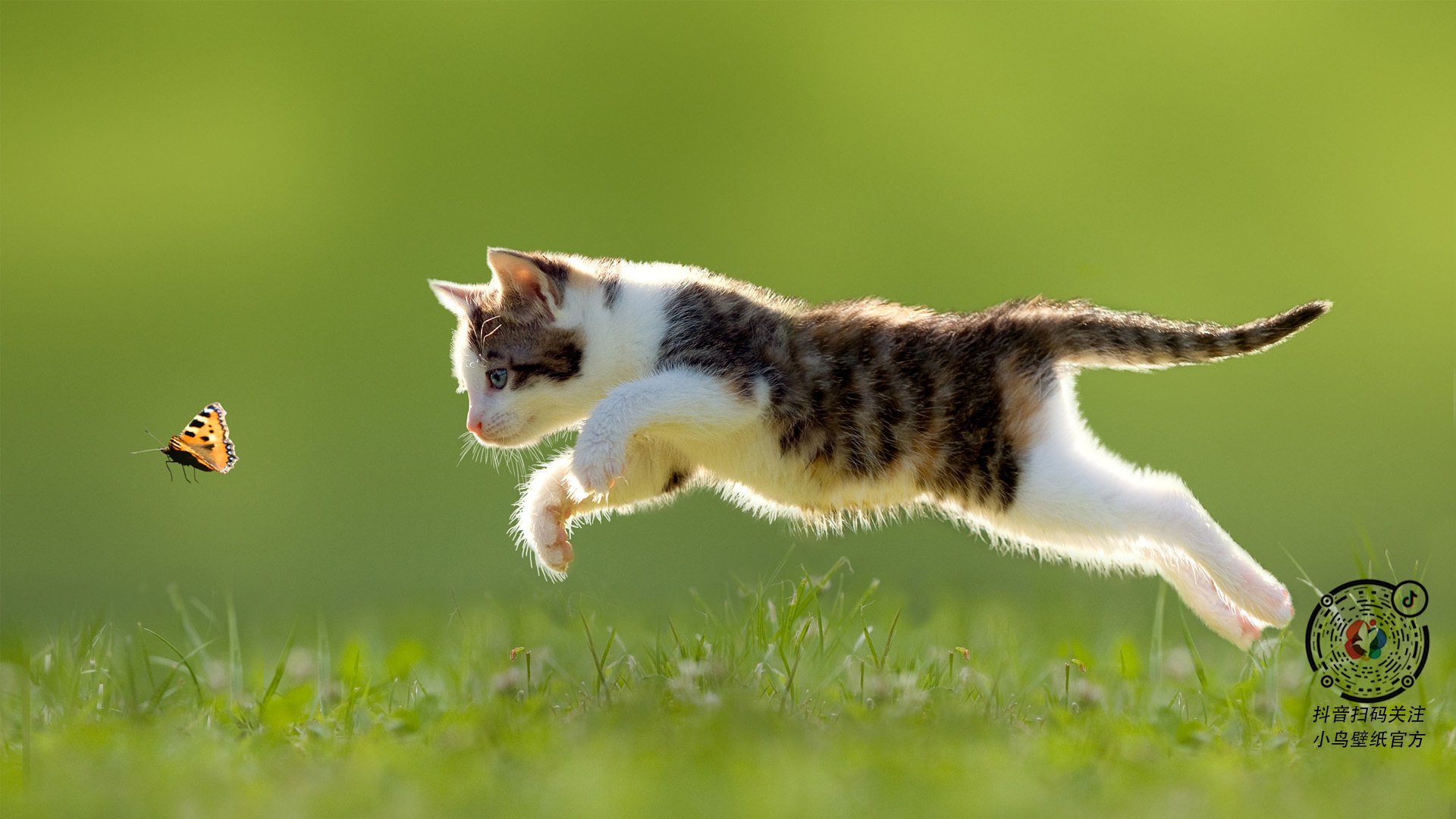 改写秩序，楚阿梅尼扛起红魔，曼联终克拜仁