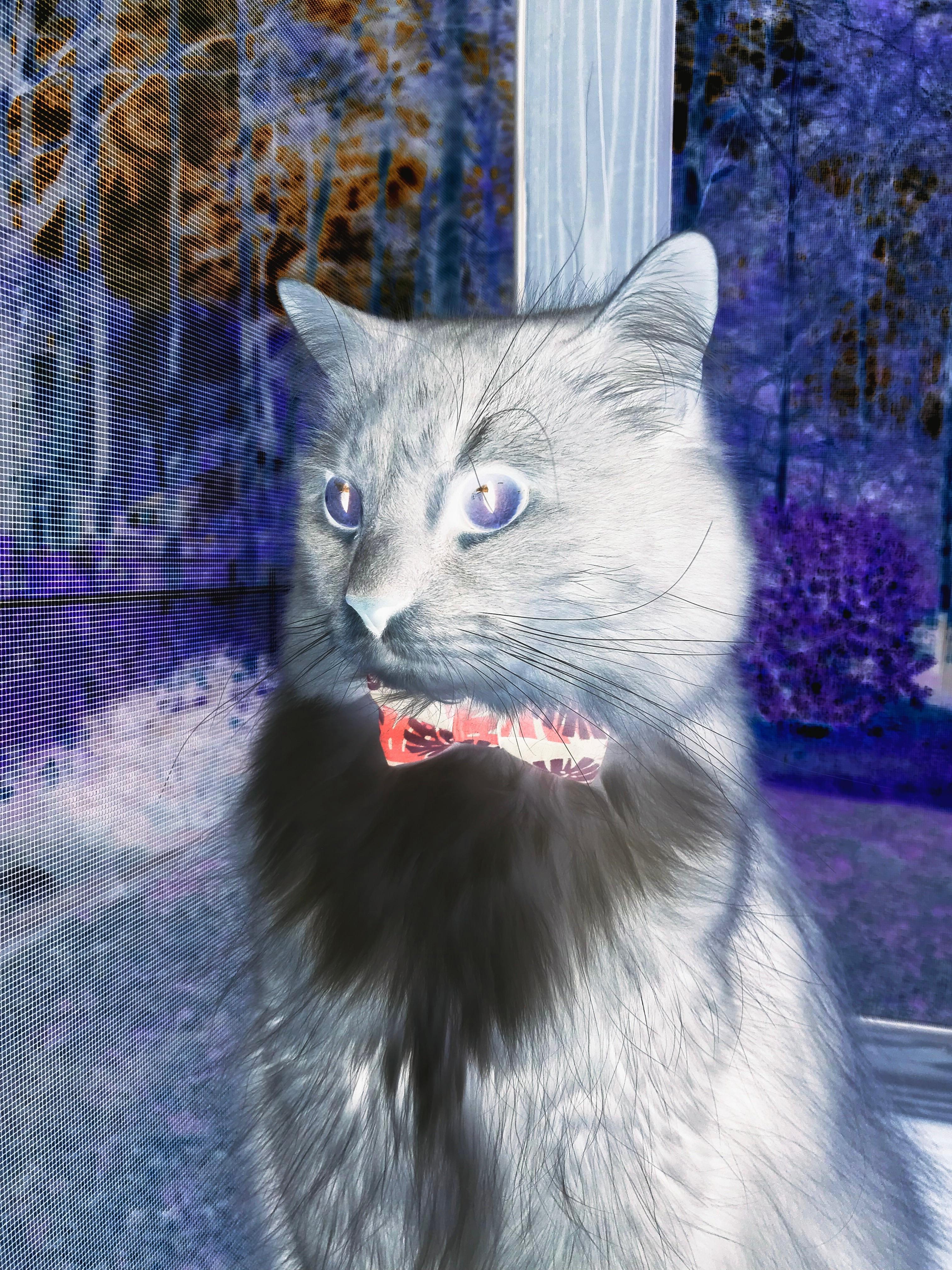 年末终章，穆雷孤独绽放，轻取联合杯的背后，一部冠军灵魂的史诗