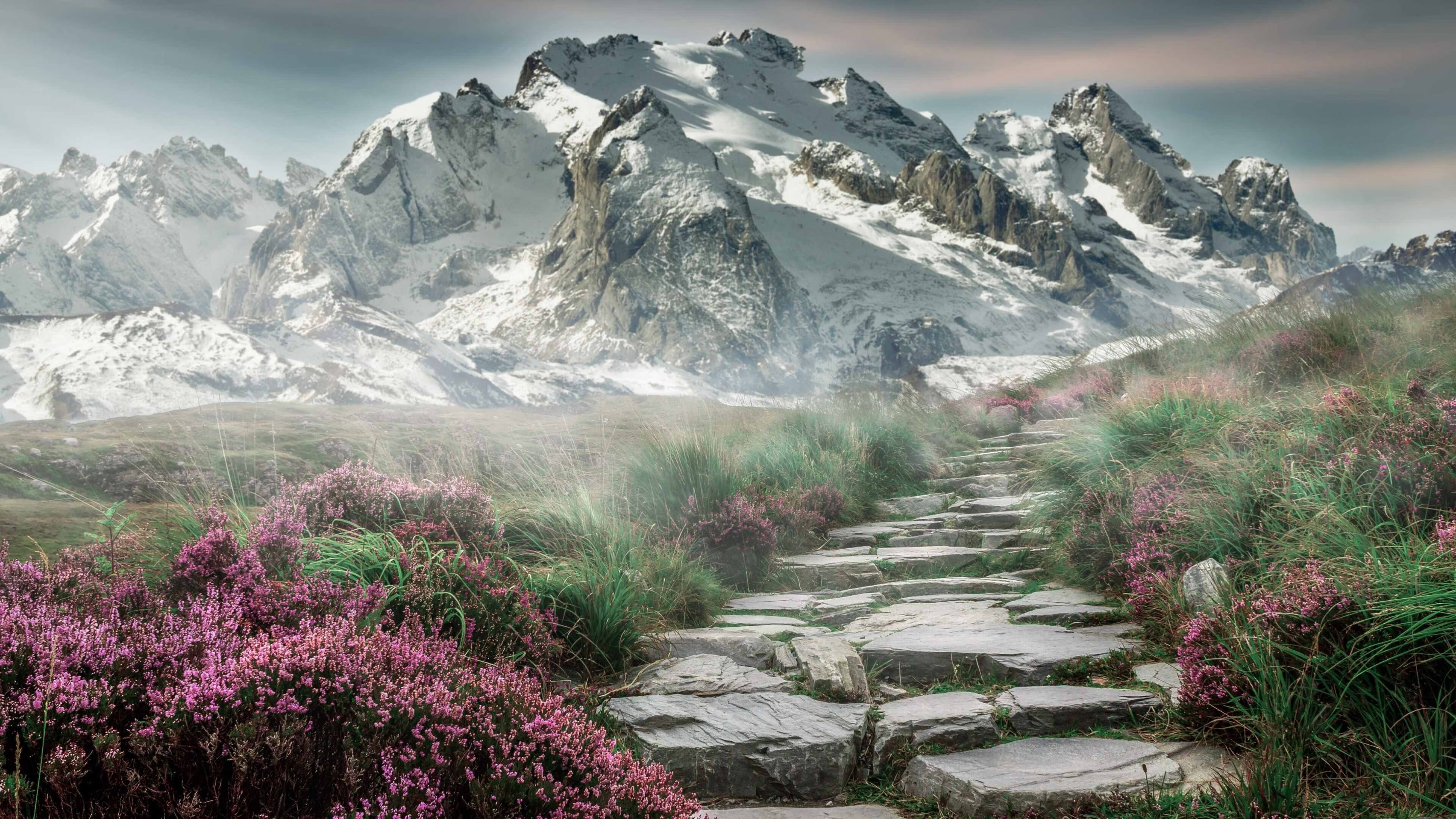 缺席的国王,倘若本泽马在,英超争冠之夜将如何改写?