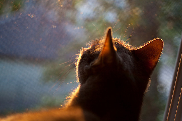 东决式决胜与巴萨式控局,赛场节奏的两种哲学