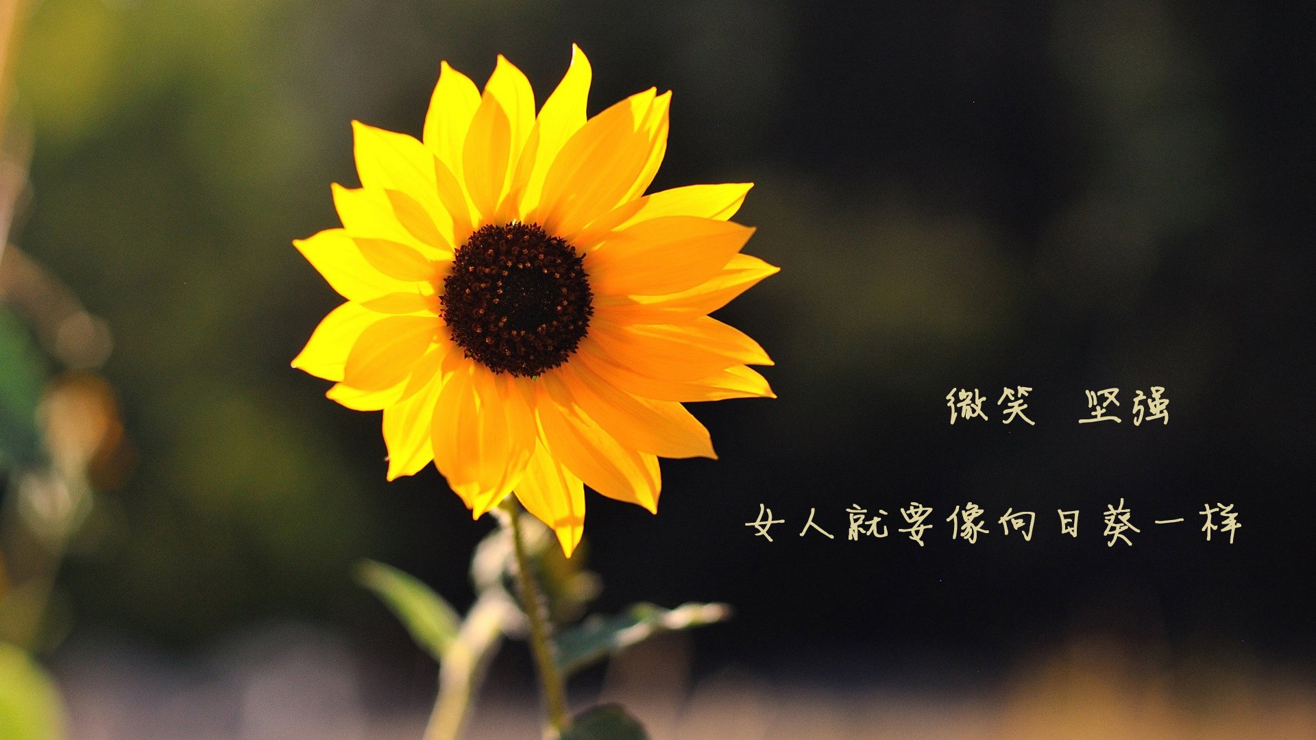 爱游戏娱乐-绝境中的光辉，库尔图瓦一扑定乾坤，法国险胜波兰晋级