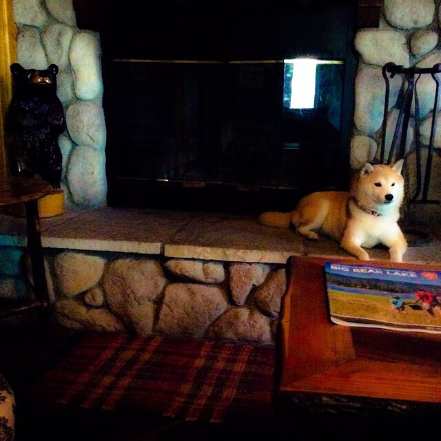 爱游戏体育-双重接管，从印第安纳的战术囚笼到巴林赛道的绝对领域