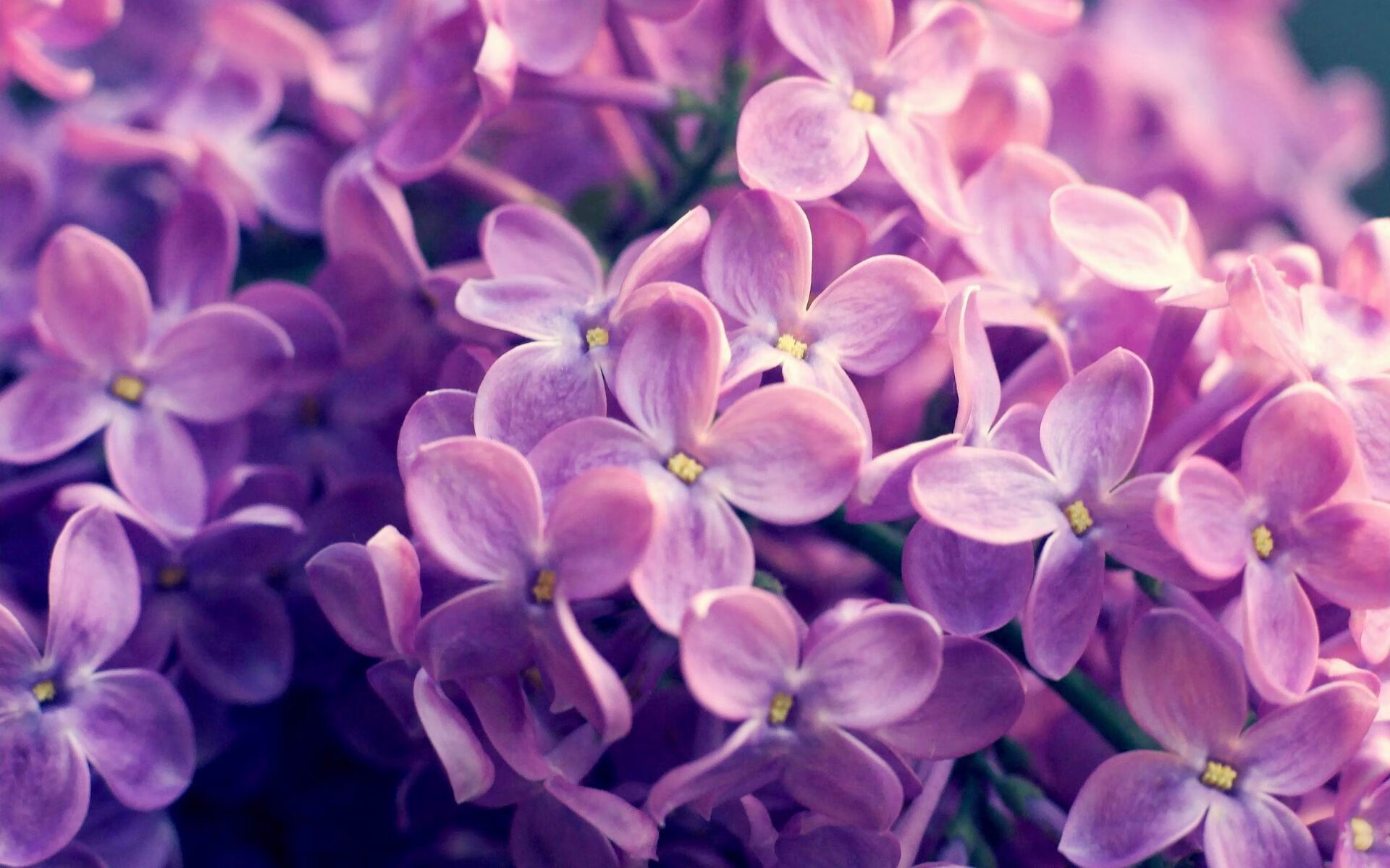 爱游戏体育-德甲争冠战之夜，切特魔术手带动全队节奏的哲学密码