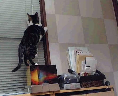 铁闸与烈焰，门迪神扑定乾坤，巴黎重火力碾碎黄色潜水艇