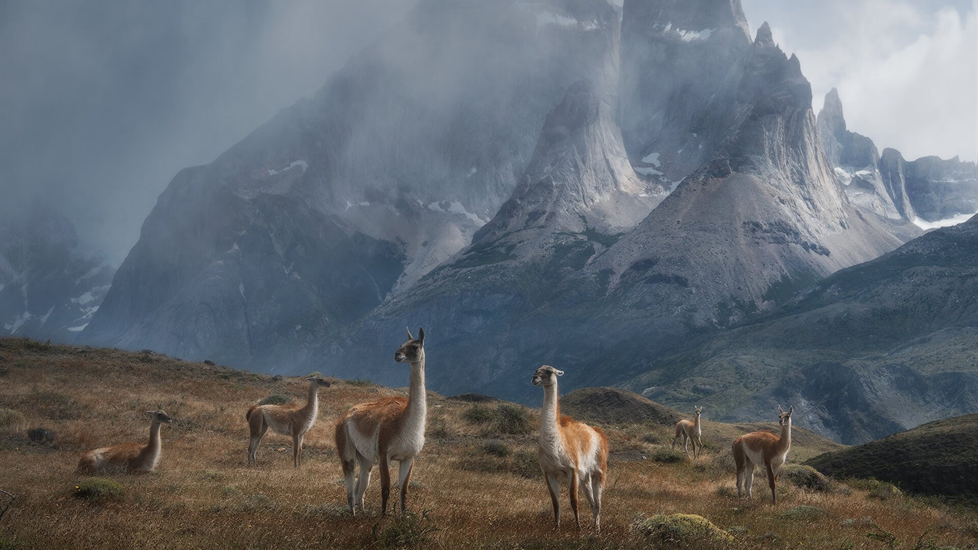 浙江狙击王朝逆鳞！背水一战铸就新传奇