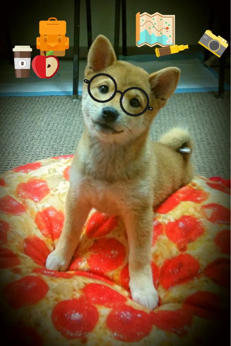 安哥拉淘汰日本，哈兰德硬仗之王，当凡人之躯在压力下比肩神明