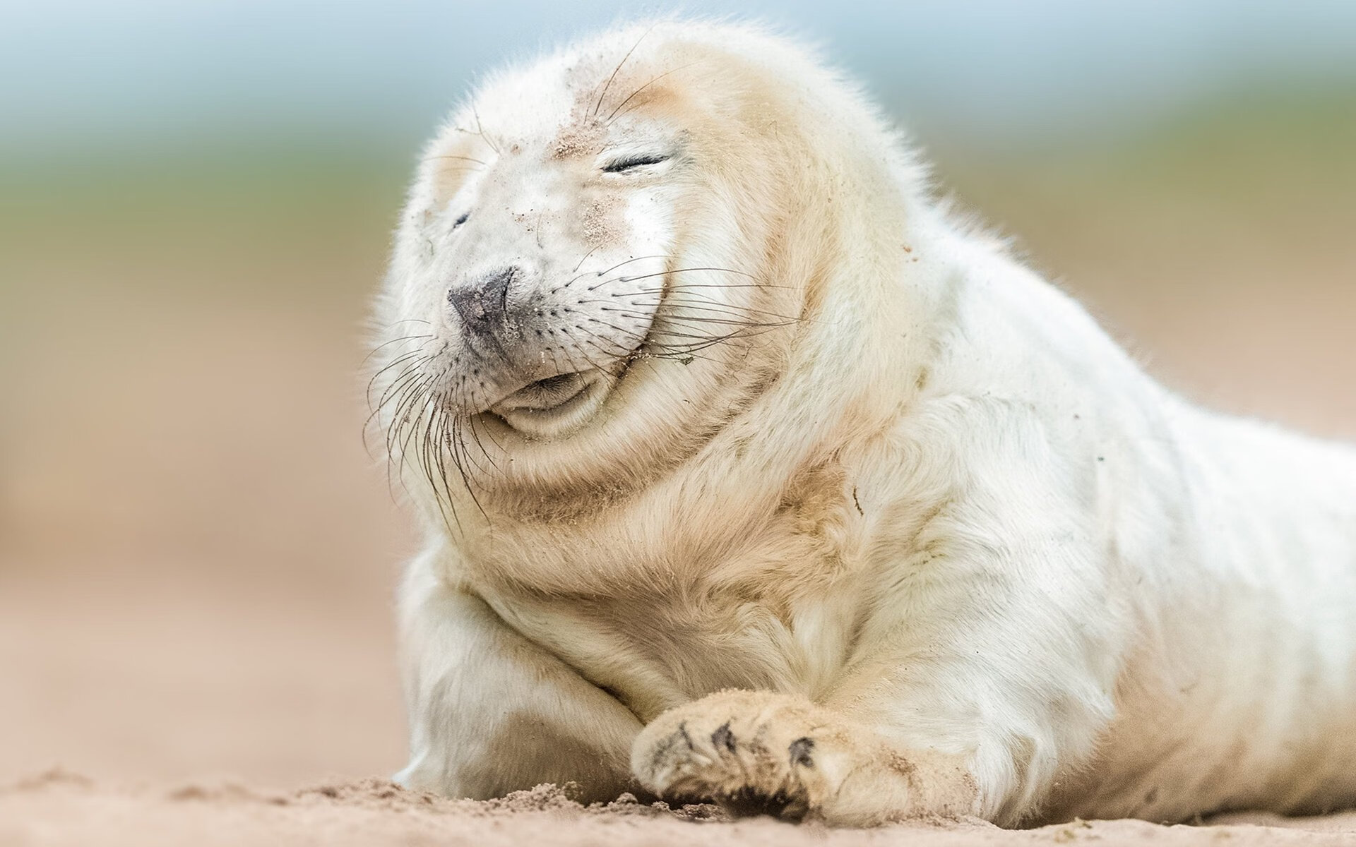 铁索横江，戈麦斯用一场经典防守，为亚特兰大锁死塞内加尔的艺术