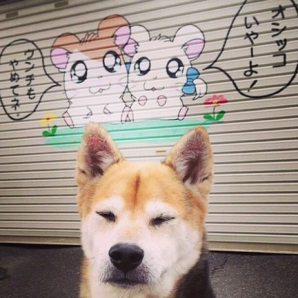 隔空的回响，当季后赛抢七之夜遇见梅西的冠军之心