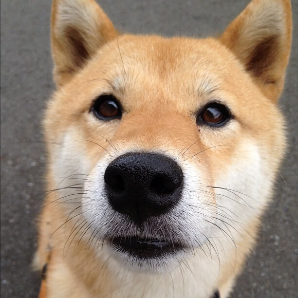 极夜中的光,德罗赞沉默狙杀,马刺的血性文艺复兴