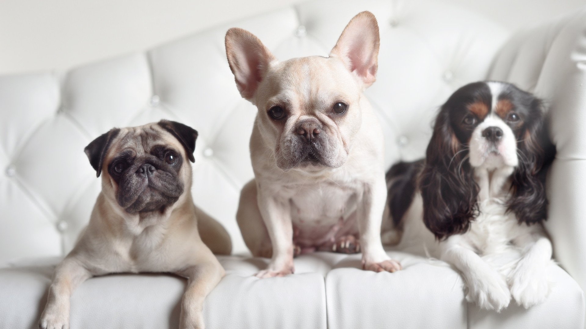 爱游戏娱乐-关键时刻零分却统治比赛，戈贝尔用最沉默的方式成为大场面先生