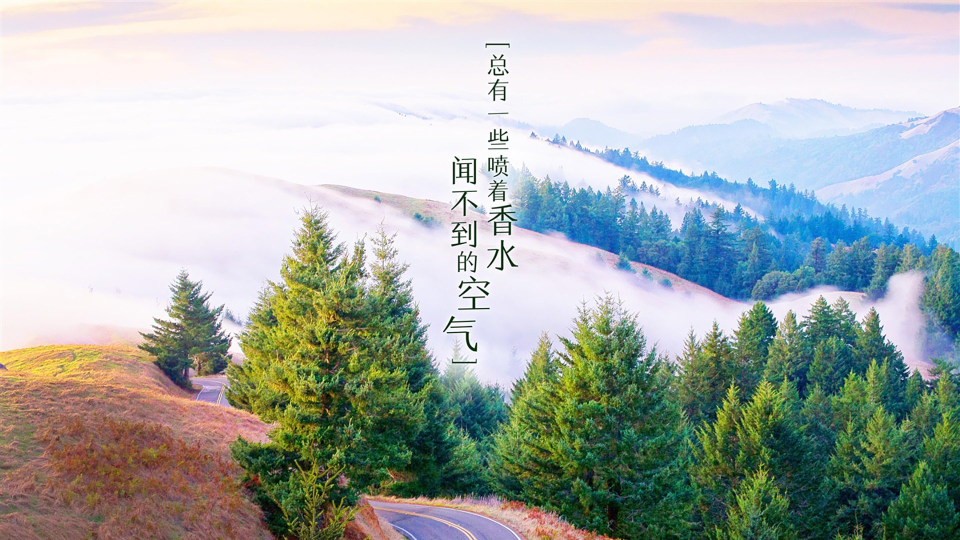 爱游戏tv-沙漠之夜的奇迹，2026世界杯A组，印度绝杀摩洛哥，德容一人照亮全场