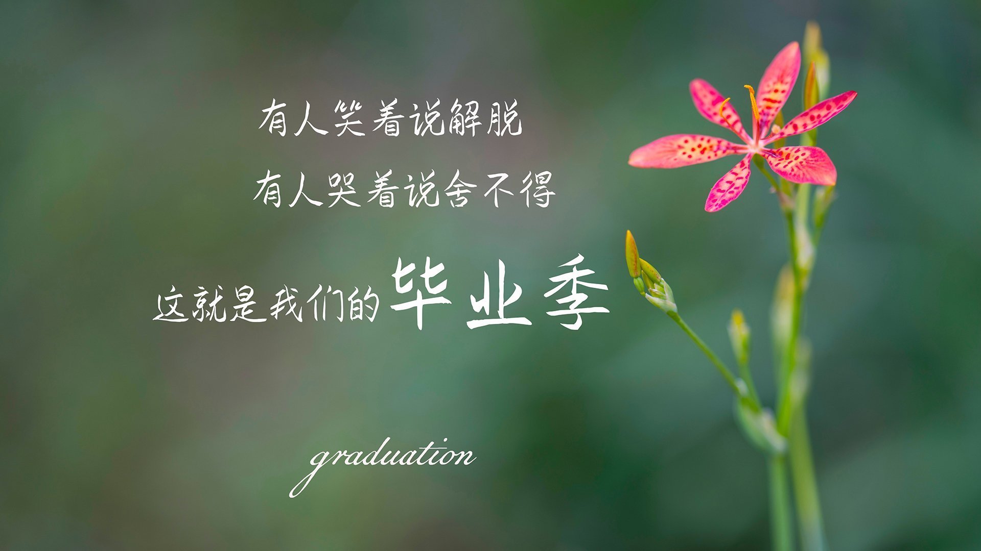 唯一性，那场改变宿命的致命一击
