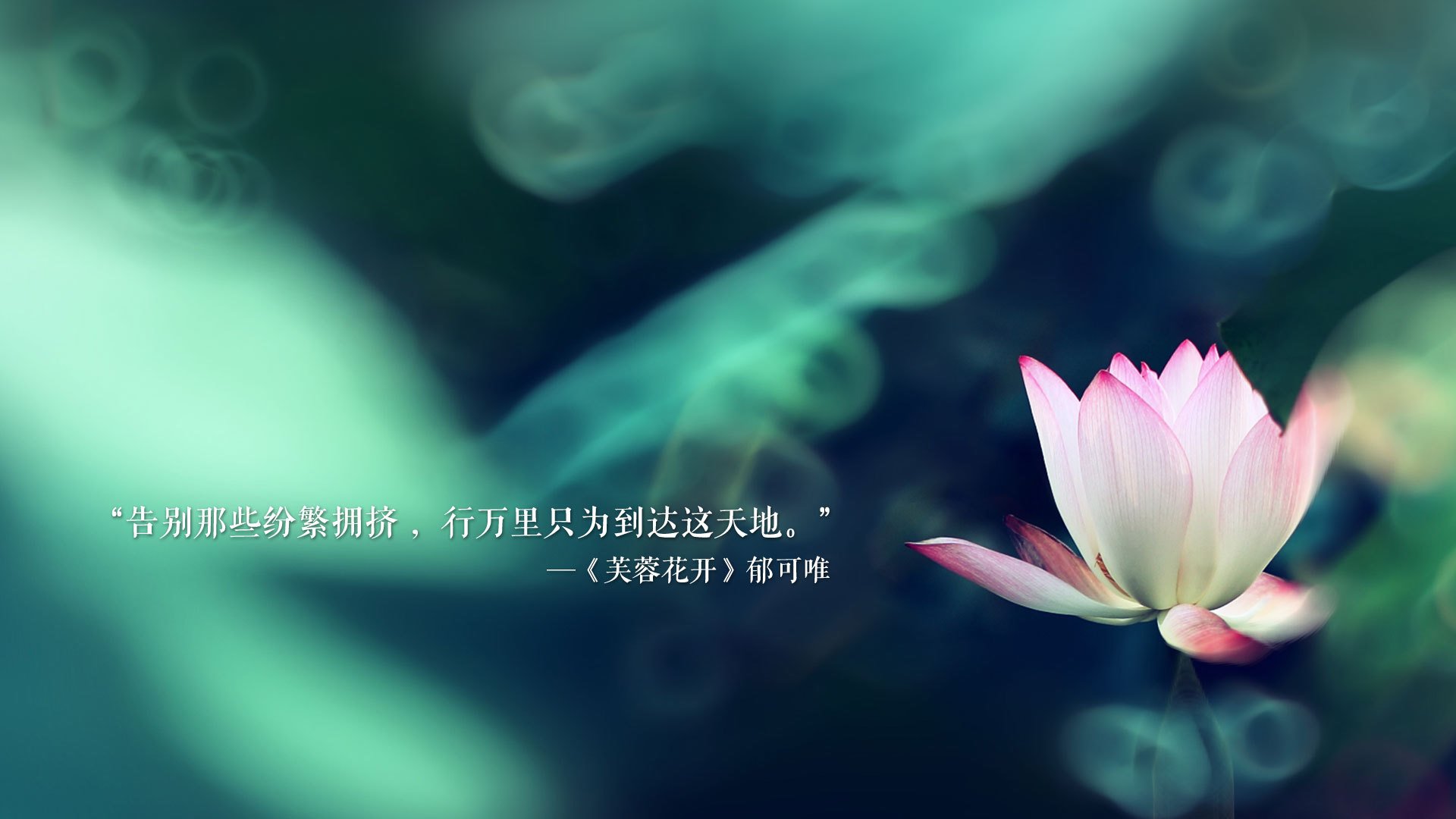 冷冽的波斯铁骑,2026世界杯H组唯一的神话,伊朗三球屠巴西,B费孤星闪耀难挽天倾