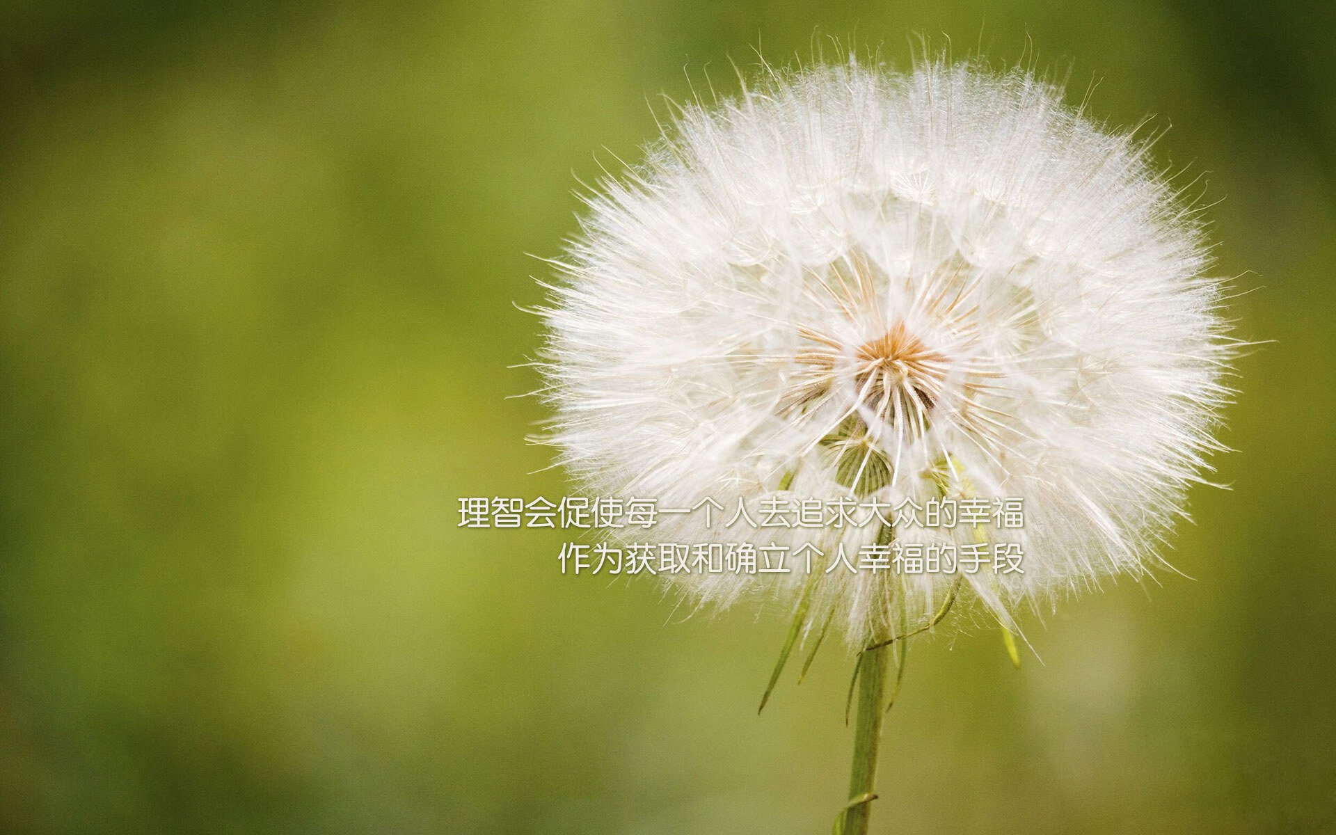 唯一性，京多安的指挥棒与日本足球的冷血基因—2026世界杯C组焦点战全景解码