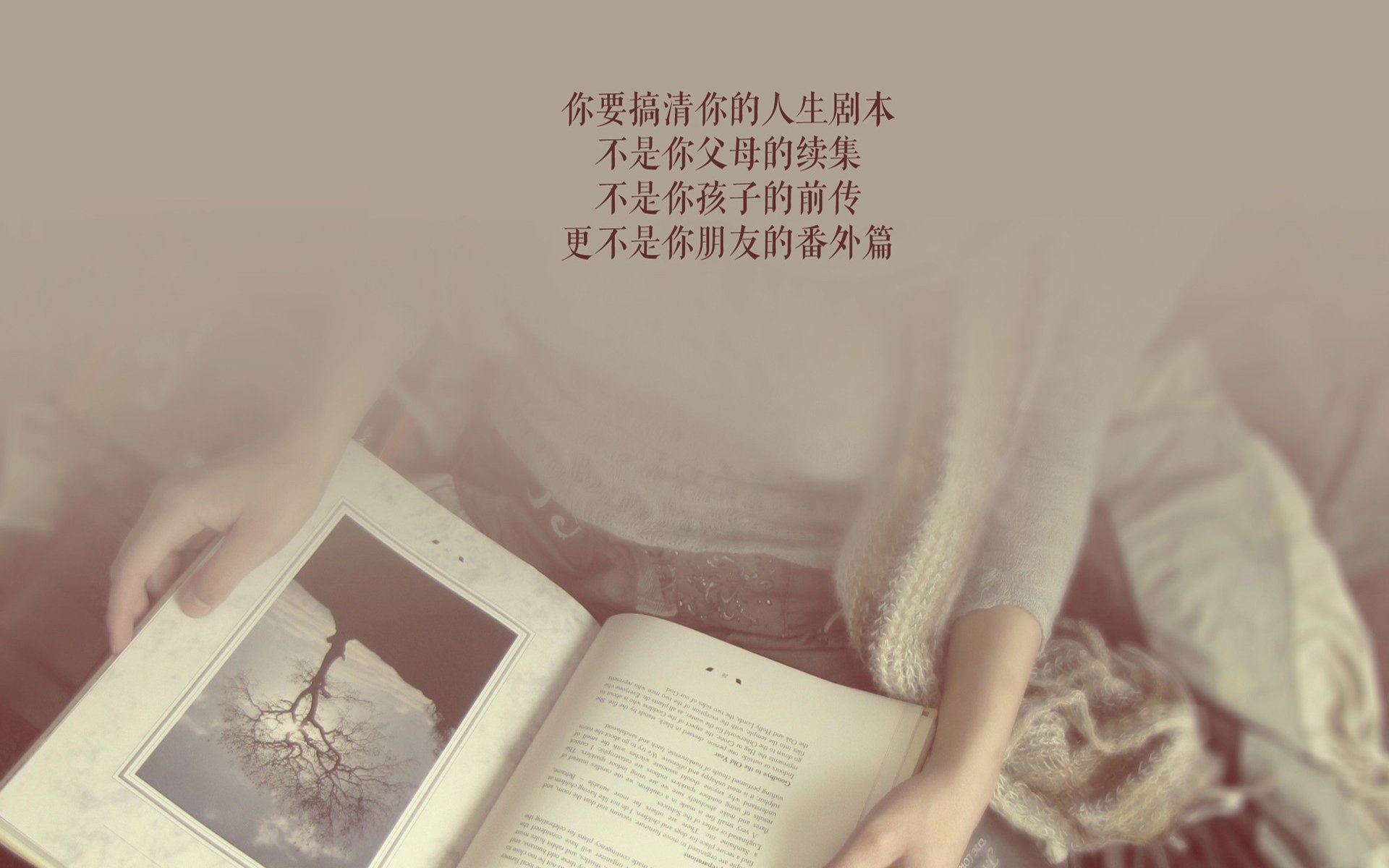 绝境中的锋芒,2026世界杯B组关键战,厄瓜多尔力克波兰,孙兴慜临场调整导演逆转
